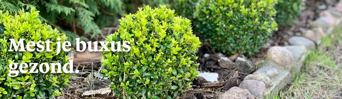 [paste advice page name here]